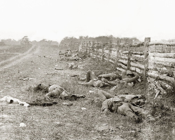 About 10 Confederate soldiers'
bodies are scattered along a fenceline on the Antietam battlefield