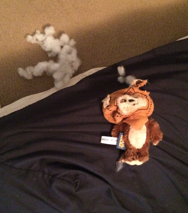 An ewok doll lies face up on
the corner of the bed, and all the cotton inside is on the ground below.