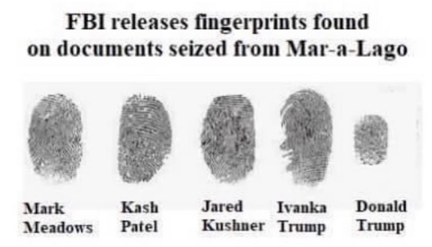 The fingerprints of Mark Meadows, Kash Patel,
Jared Kushner and Ivanka Trump are normal, while Trump's is much smaller.