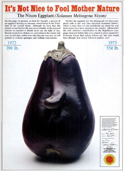 An eggplant that has Nixon's profile