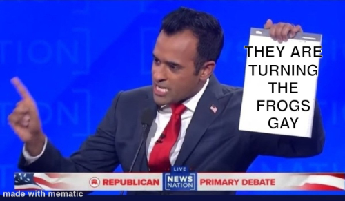 A screen shot of Ramaswamy with his notepad has been altered, so that the notepad says 'They are turning the frogs gay'
