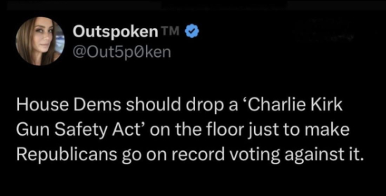 A tweet that says:
'House Dems should drop a 'Charlie Kirk Gun Safety Act' on the floor just to make Republicans go on record voting against it.'