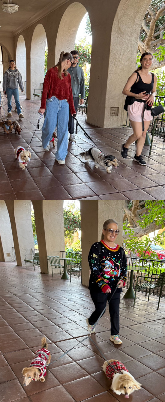 About half a dozen people, 
and they have about half a dozen dachshunds, in Christmas costume