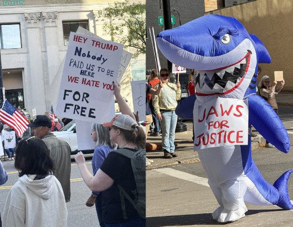 One sign says 'HEY
TRUMP Nobody PAID US TO BE HERE WE HATE YOU FOR FREE' while a second sign is worn by a person in a shark costume and
says 'Jaws for Justice'