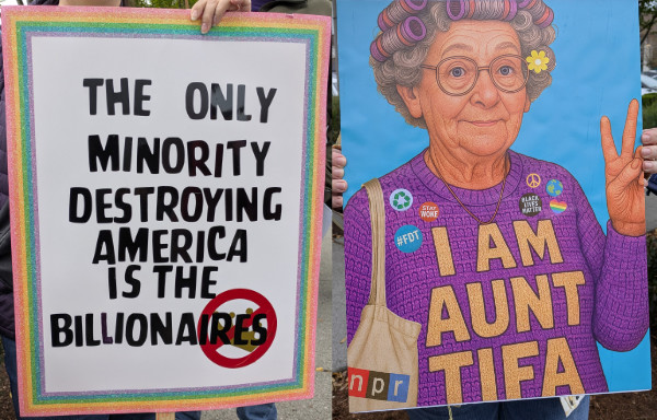 One sign says 
'THE ONLY MINORITY DESTROYING AMERICA IS THE BILLIONAIRES' and another shows an elderly lady in a sweater that
says 'This is Aunt Tifa'