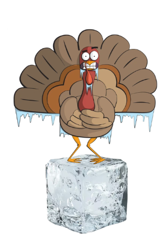 A turkey, shivering,
with icicles hanging from him, standing on top of a block of ice