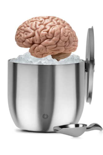 A bucket of ice with 
a brain perched on top of the ice