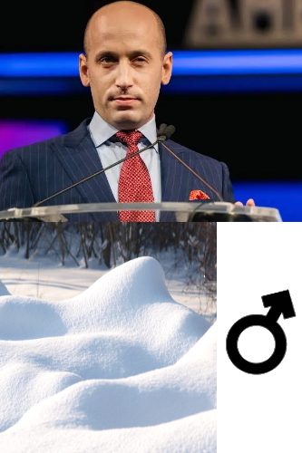 Stephen Miller, a snow
bank, and the 'male' symbol