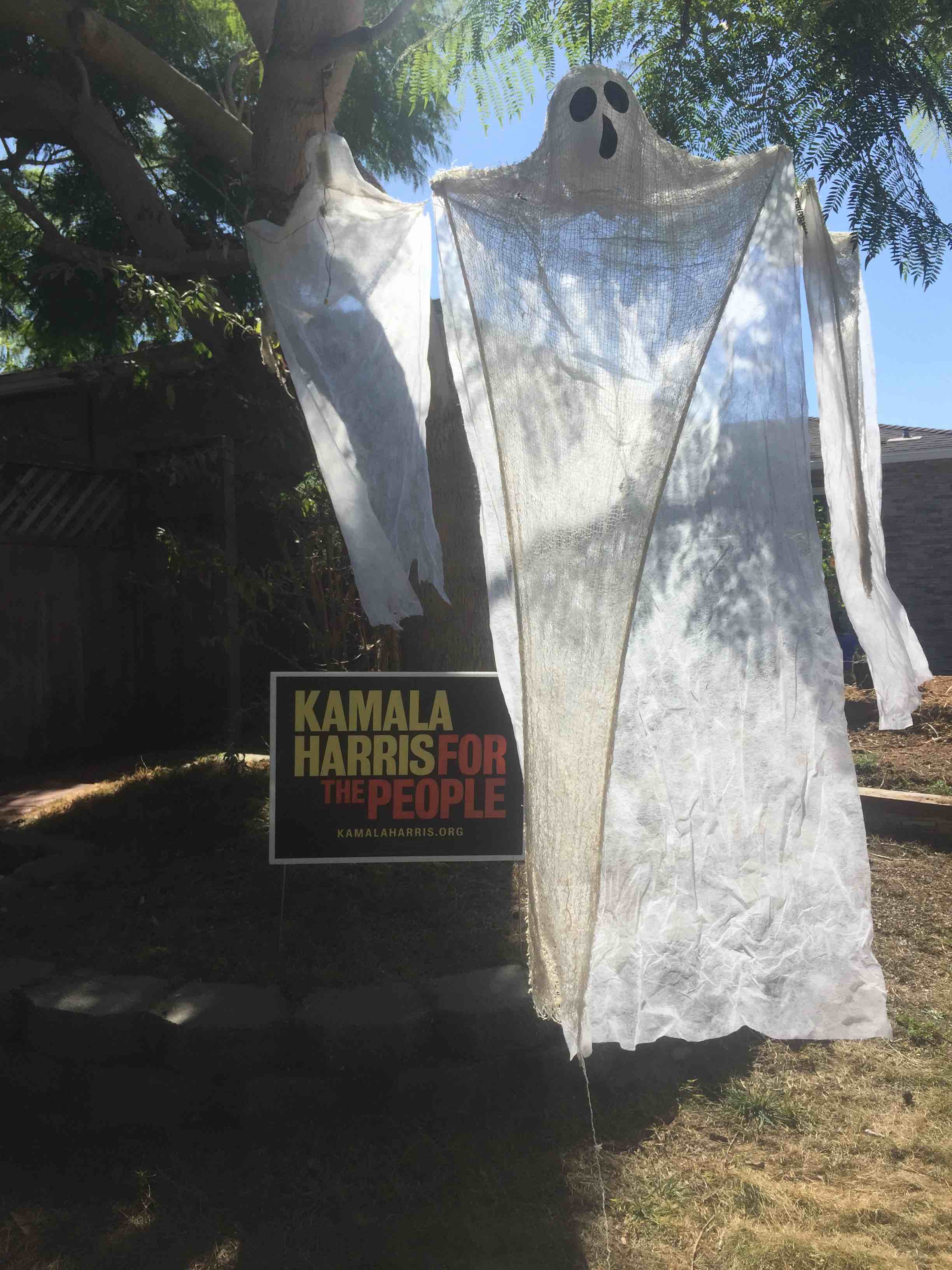 Two halloween ghosts next to a Harris for president sign