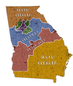 Political map of Georgia