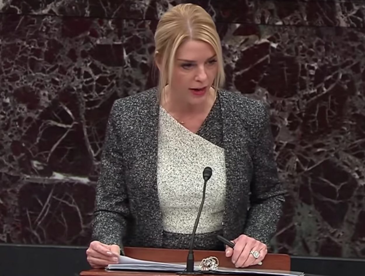 Pam Bondi in a dark gray and ivory
ensemble that looks like it's studded in gravel, up against a light black, marbled background