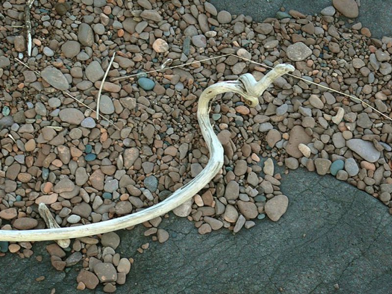 The object is white, about three feet long, and has snake-like curls