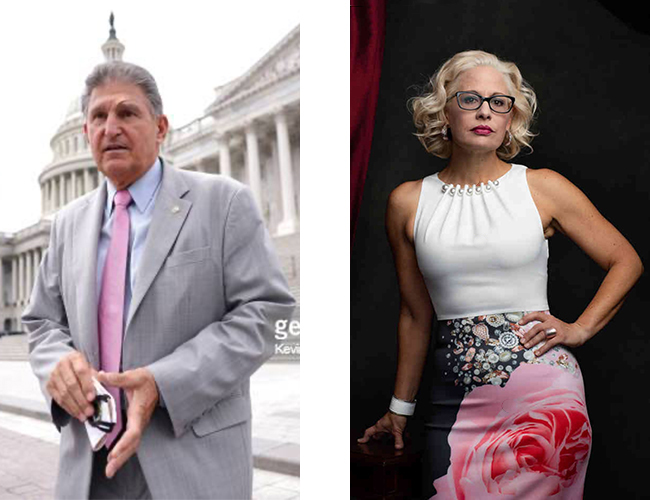 Joe Manchin in a basic suit and tie and
Kyrsten Sinema vamping for the camera in a skirt printed with a giant pink flower