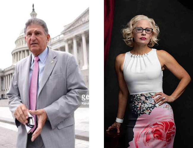 Joe Manchin in a basic suit and tie and
Kyrsten Sinema vamping for the camera in a skirt printed with a giant pink flower