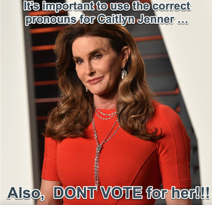 A picture of Caitlyn Jenner says that it
is important to use the correct pronouns, and don't vote for HER (with HER capitalized)