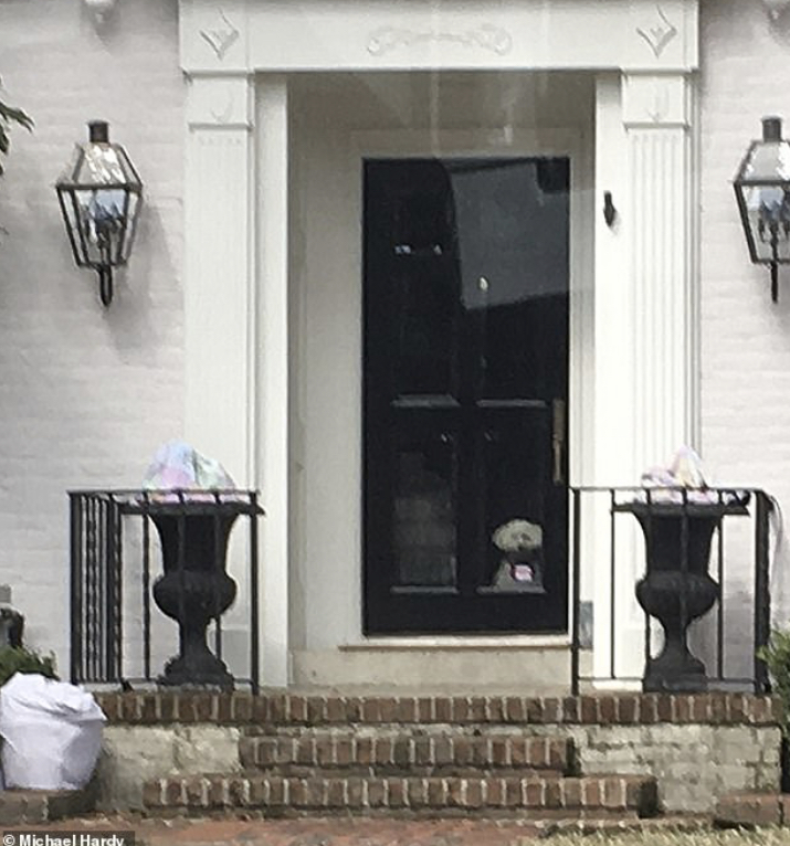 The dog appears to be a poodle, and is
sitting right next to the screen looking out on the yard