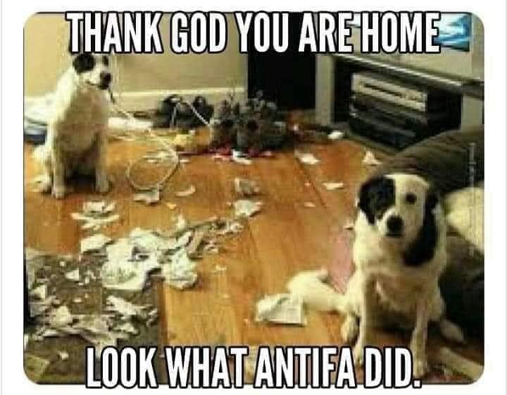 A picture of two dogs who have
made a mess of someone's house, and who are now looking innocently at the camera, is captioned: 'Thank God you are home! Look what Antifa did!