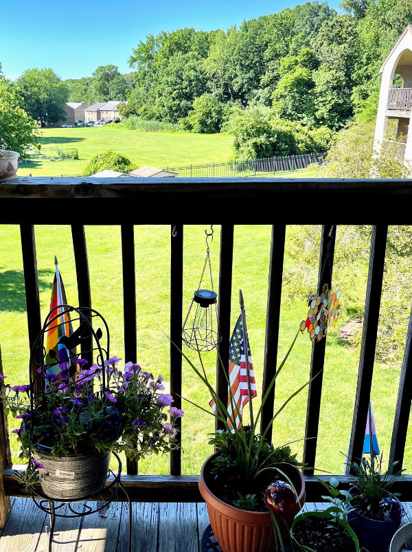 A front porch, with potted
plants, and small Pride, U.S., and trans flags in three of the plants