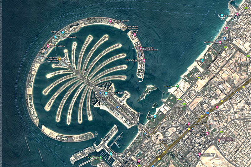 Dubai palm, shot from above it looks 
like a palm tree surrounded by a halo 