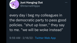 A tweet that reads: 'Every day
I beg my colleagues in the Democratic Party to pass good policies. 'Shut up loser,' they say to me. 'We will be woke
instead.''