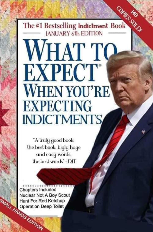 The book 'What to Expect When You're Expecting' has been
Photoshopped to add the word 'Indictments' at the end, and to include a picture of Trump, along with a few choice bits of snark, like a banner that says
'Small hands edition'