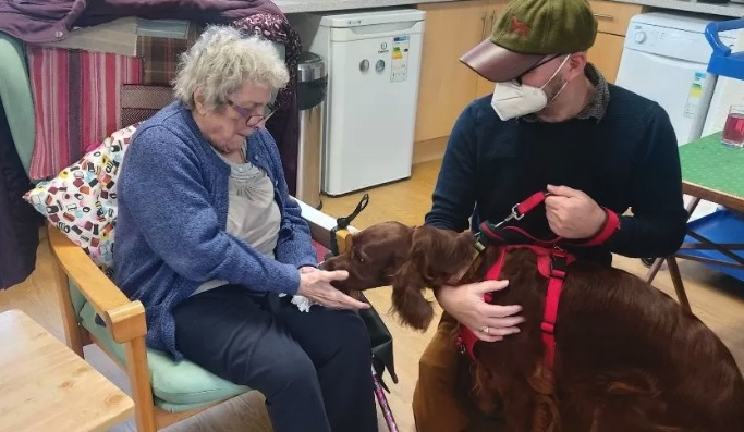 Ms. Findlay has curly gray hair and a cane, Gemma is very red-orange,
and Gemma's owner is wearing a baseball cap and a mask