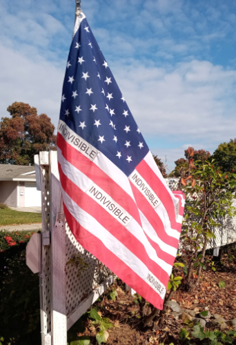 It is as described; a U.S.
flag with 'indivisible' badges sewed on it.