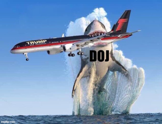 A great white shark labeled
'DOJ' jumps from the ocean and ensnares the Trump airplane