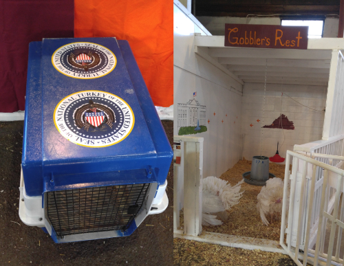A picture of the turkey carrier,
emblazoned with the seal of the Turkey of the United States, and a picture of Tater and Tot in their enclosure.