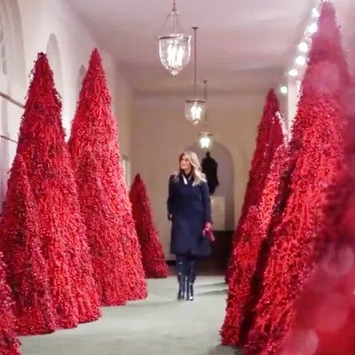 Melania Trump walks among the red Christmas trees she put up at the White House