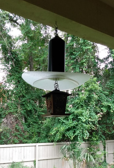 A bird feeder, topped with a 
white shade, which is itself topped with a black cylinder.