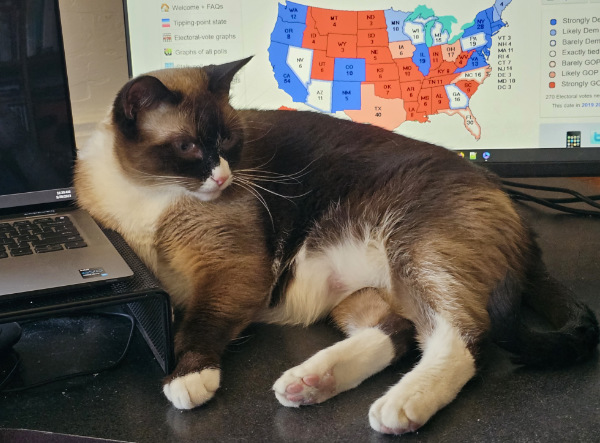 Sugar is sitting next to
a computer and a monitor which has E-V.com loaded