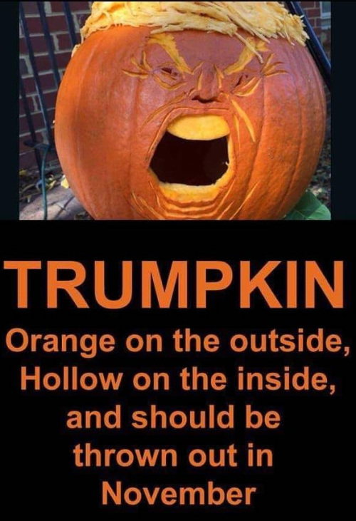 TRUMPKIN: Orange on the outside, Hollow on the inside, and should be thrown out in November