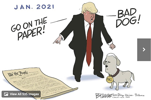 Cartoon of Trump telling Pence shown as a dog to pee on the Constitution