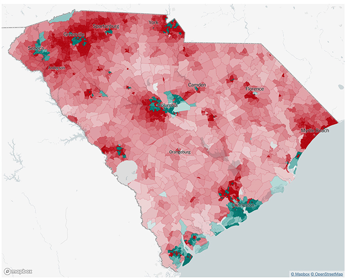 Precinct-level map of South Carolina primary election results