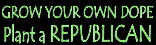 bumper sticker