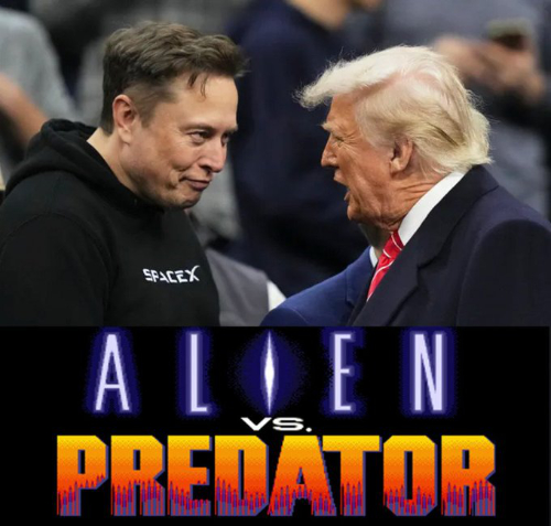 The poster for the
movie 'Alien vs. Predator' with Musk's and Trump's mugshots photoshopped in