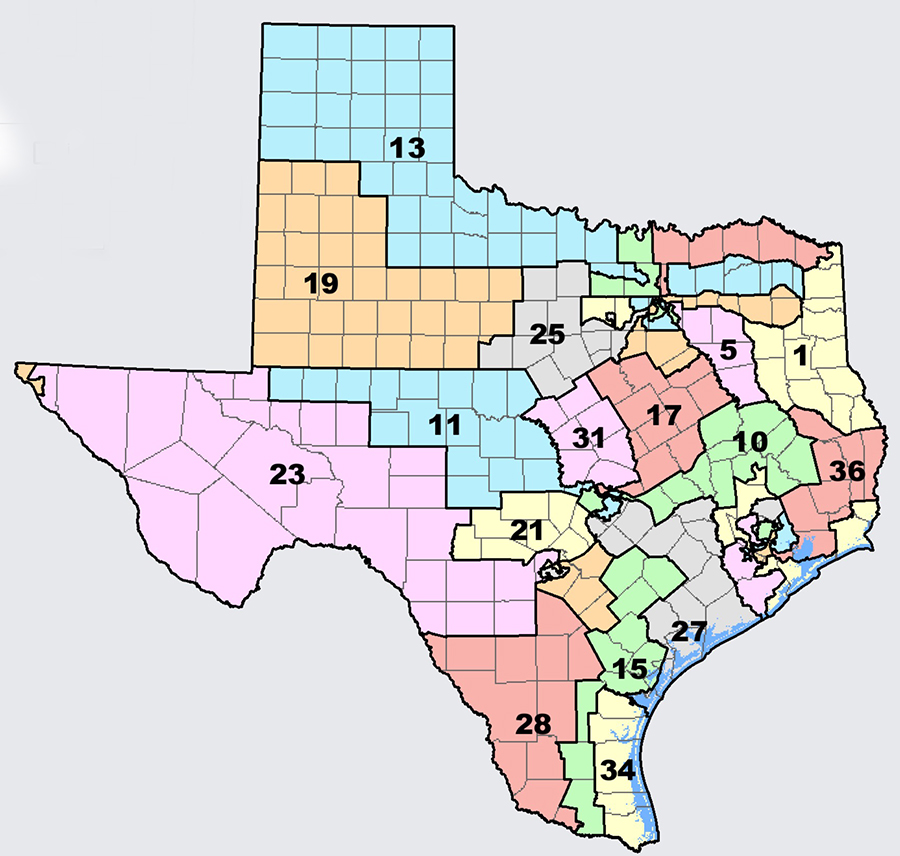 New Texas congressional map