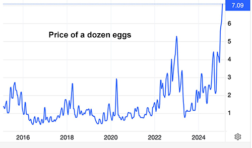 Historical price of eggs
