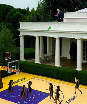 Donald Trump throwing a sex toy onto a WBNA court