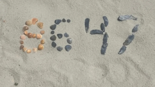 The shells spell out 8-6-4-7 in sequence