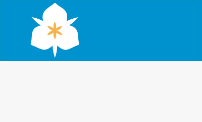 Top half blue, bottom half white,
lily in the upper-left corner