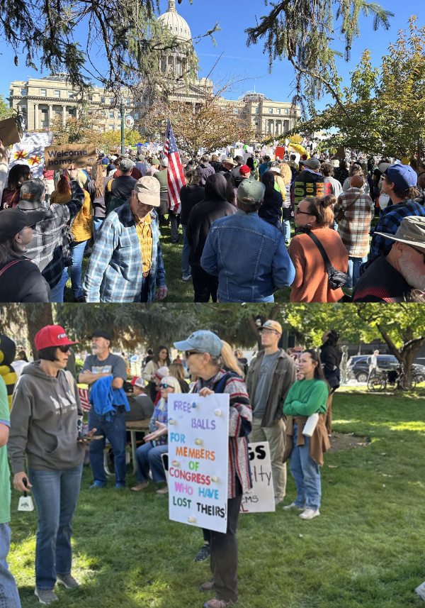 The top picture shows a
large crowd in front of the Capitol, the bottom picture shows a woman with a sign that reads 'FREE BALLS FOR MEMBERS
CONGRESS WHO HAVE LOST THEIRS.' It has many ping-pong balls taped to it.