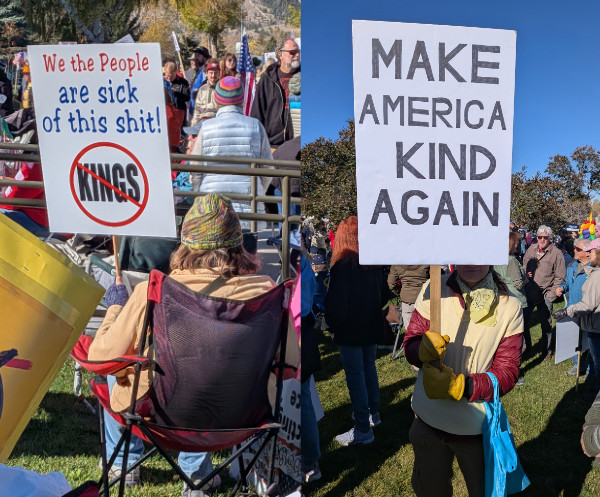 Two signs; one says 'We the People are sick of this shit!' and
the other says 'Make America Kind Again.'