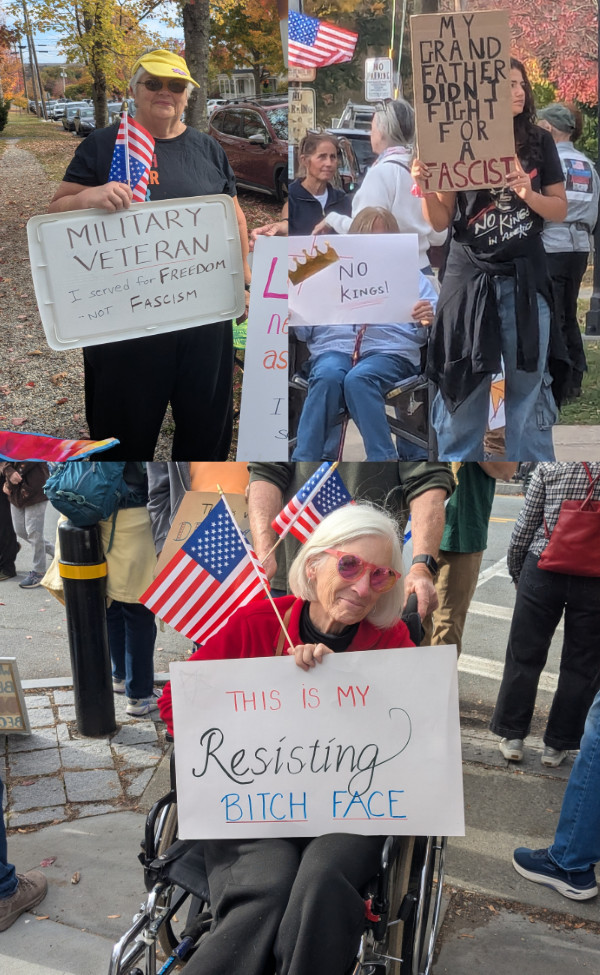 Three pictures: (1) A woman holds
a sign that says 'I fought for freedom, not fascism'; (2) A young woman holds a sign that says 'My grandfather didn't fight for a fascist,'
and (3) A senior woman holds a sign that says 'THIS IS MY Resisting BITCH FACE'