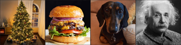 A Christmas tree, a hamburger, a dachshund and Albert Einstein