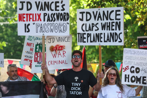 A sizable group of people carrying sarcastic signs, like one that says 'J.D. Vance's Netflix Password is 'Password'