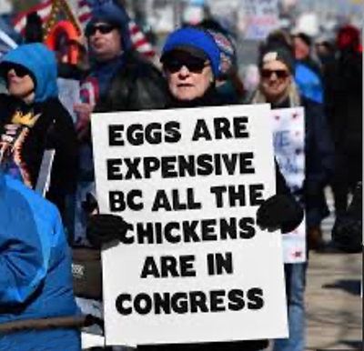 Eggs are expensive because all the chickens are in Congress sign