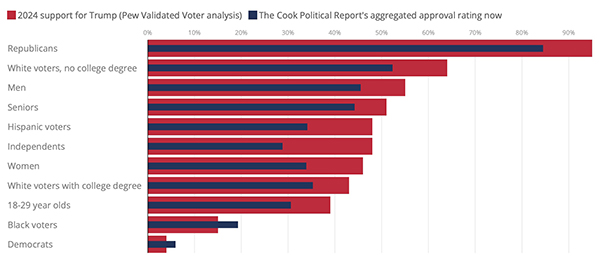 Support for Trump vs 2024 by demographic group