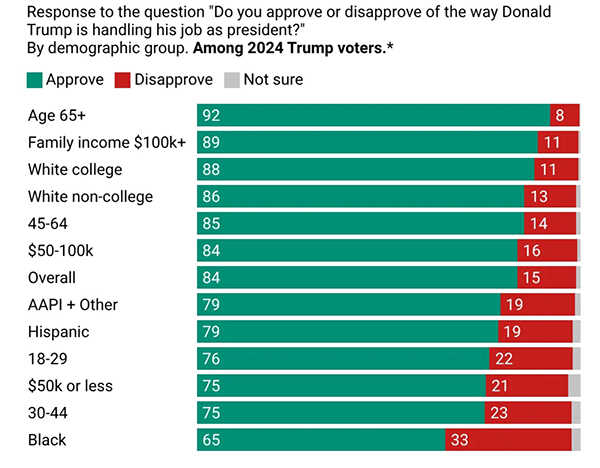 Chart showing which Trump 2024 voters are defecting